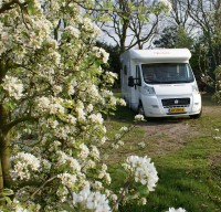 Kelgin Comfort Trio 43